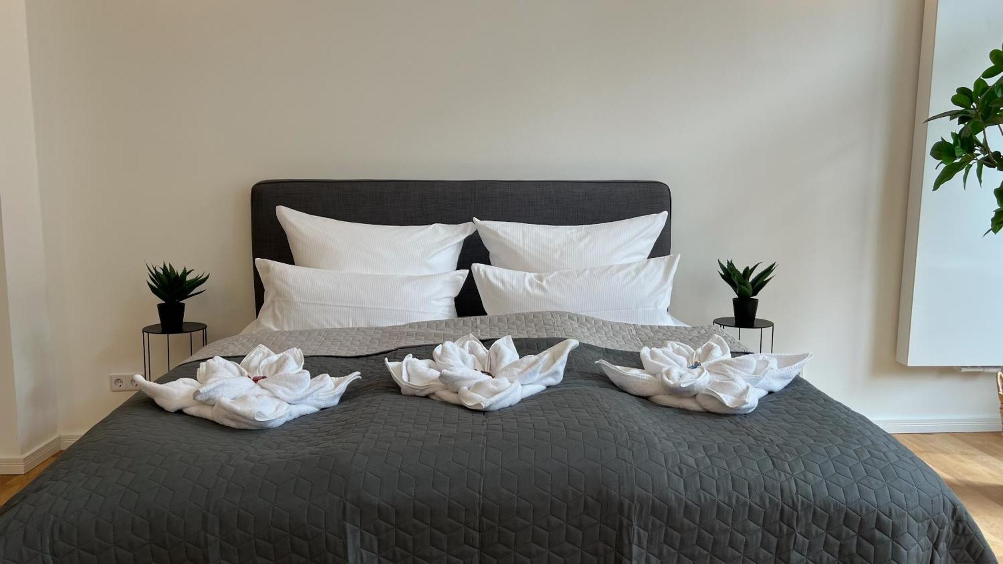 Neu! City-Loft-Apartment Im Goethe Palais I 5P I Lift I Parkplatz I Zentrum I Helios アウエ エクステリア 写真