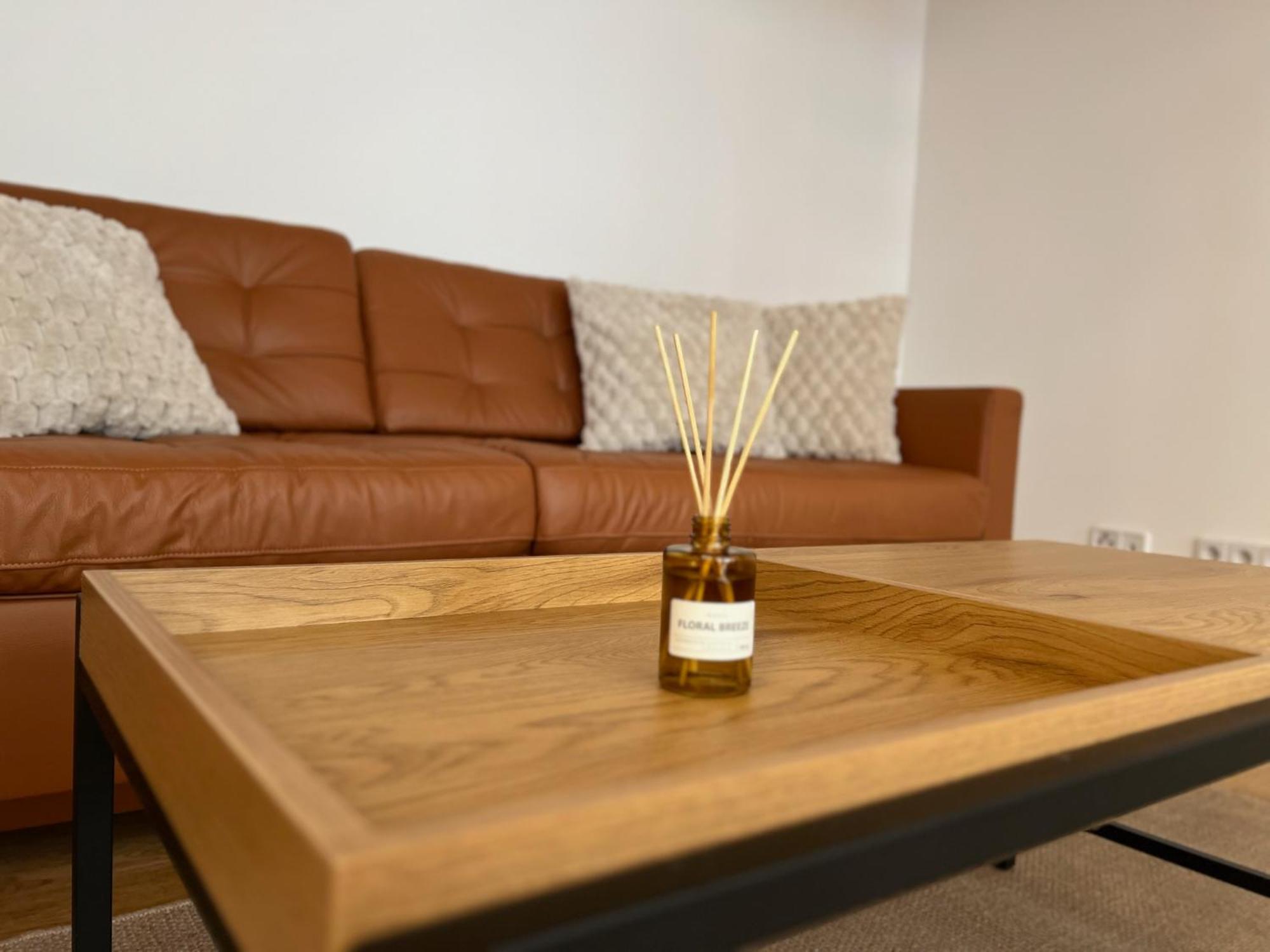Neu! City-Loft-Apartment Im Goethe Palais I 5P I Lift I Parkplatz I Zentrum I Helios アウエ エクステリア 写真